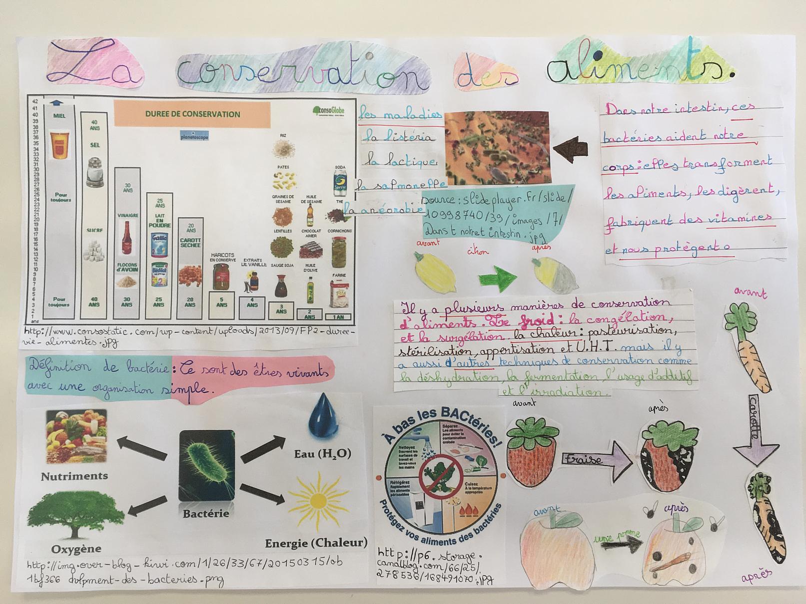 Evaluation Svt 6Eme Conservation Des Aliments