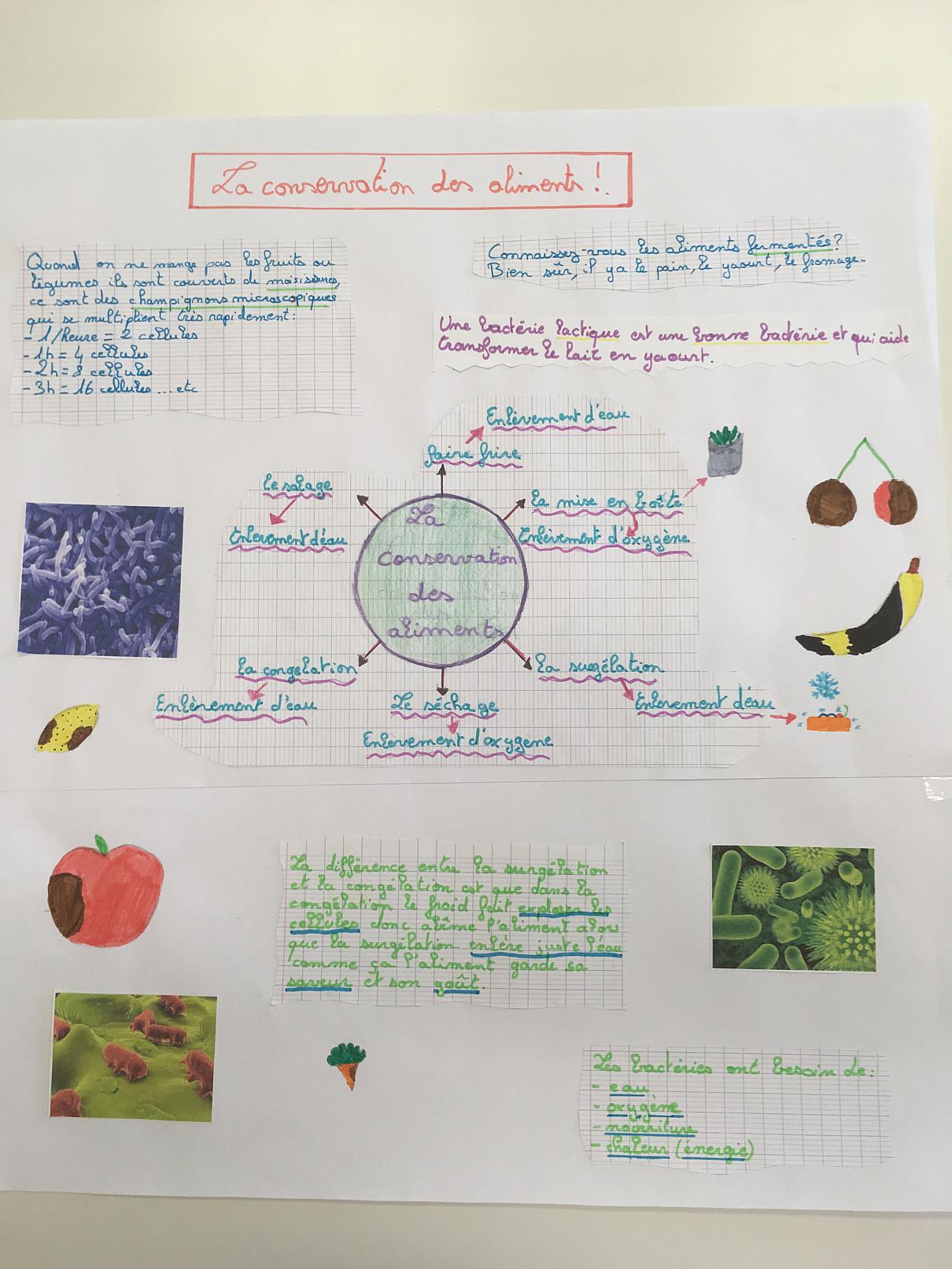 évaluation Svt 6ème Conservation Des Aliments